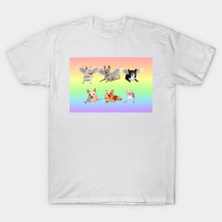 Reyes Bratpack Rainbow T-Shirt